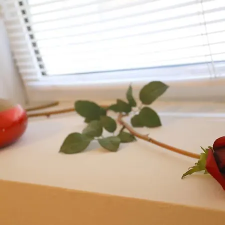 Apartman Ana Arbanasi Zára